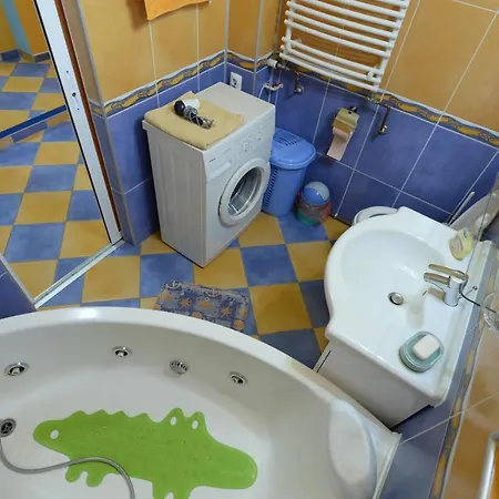 Sc & Entertainment Srl Apartment Timisoara